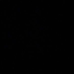 Meet your Posher, Elisia